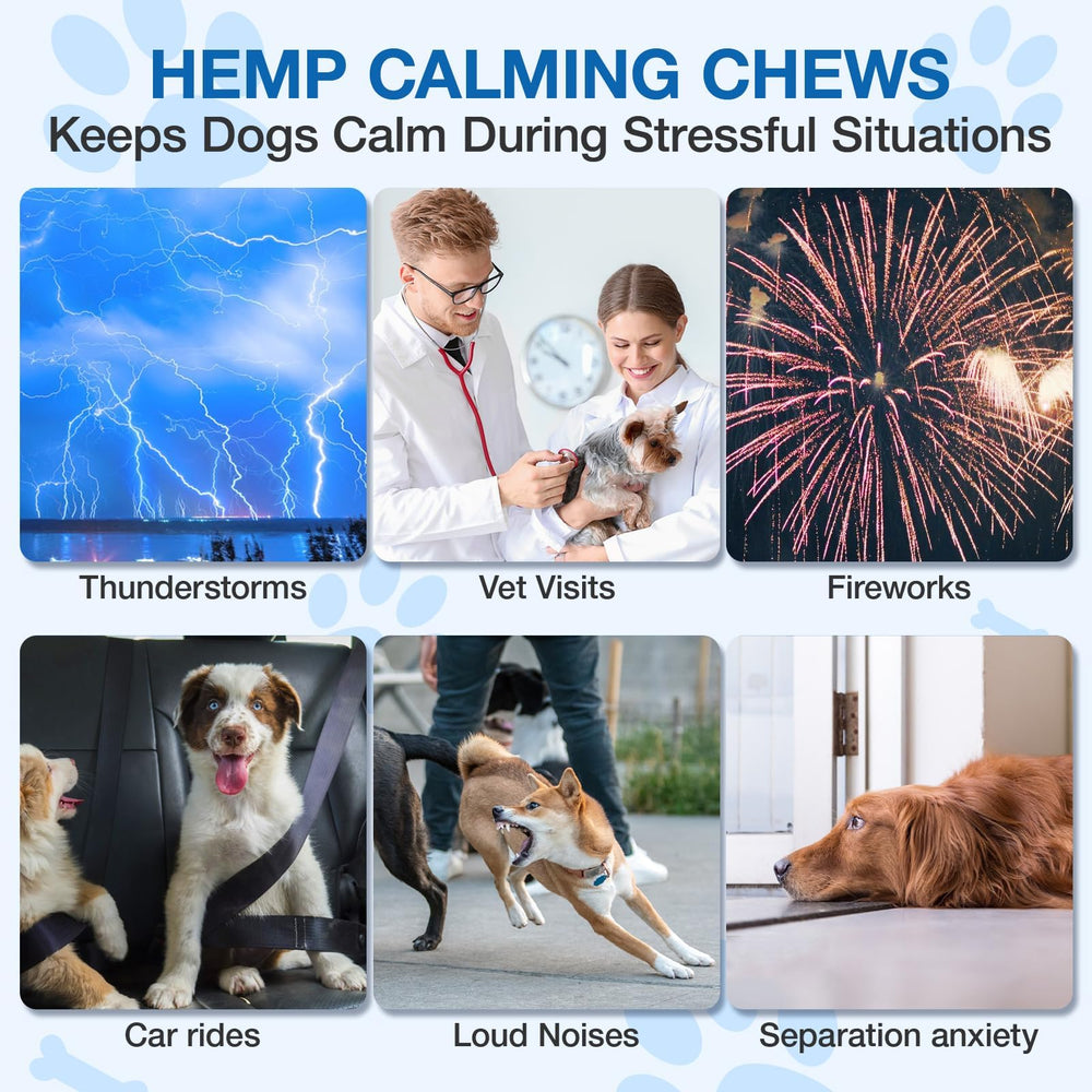 MaxHemp mezcla de ingredientes naturales para el bienestar diario de tu perro.