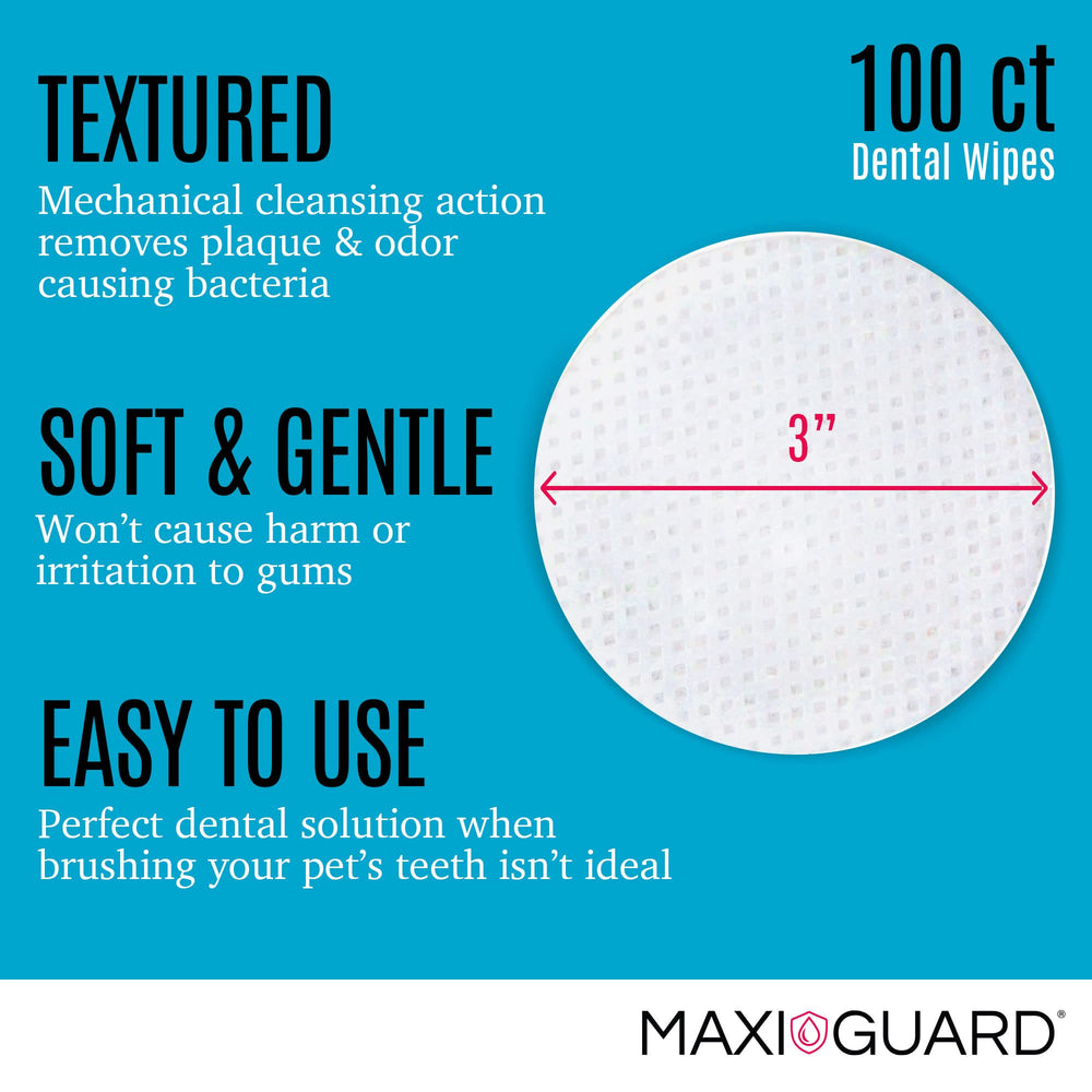 Maxi-Guard envase de toallitas dentales, fácil almacenamiento y acceso.
