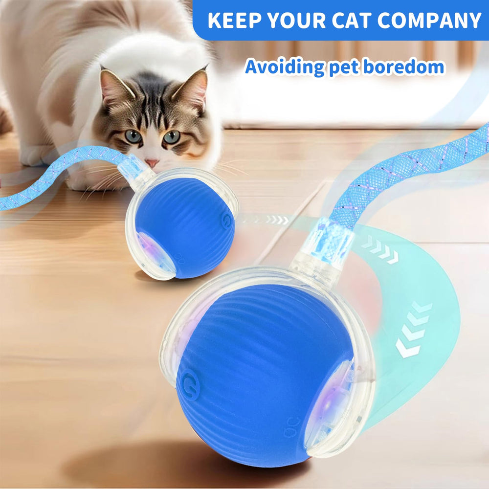 MAXTOOA Diseño inteligente; ideal para perros pequeños y gatos activos.