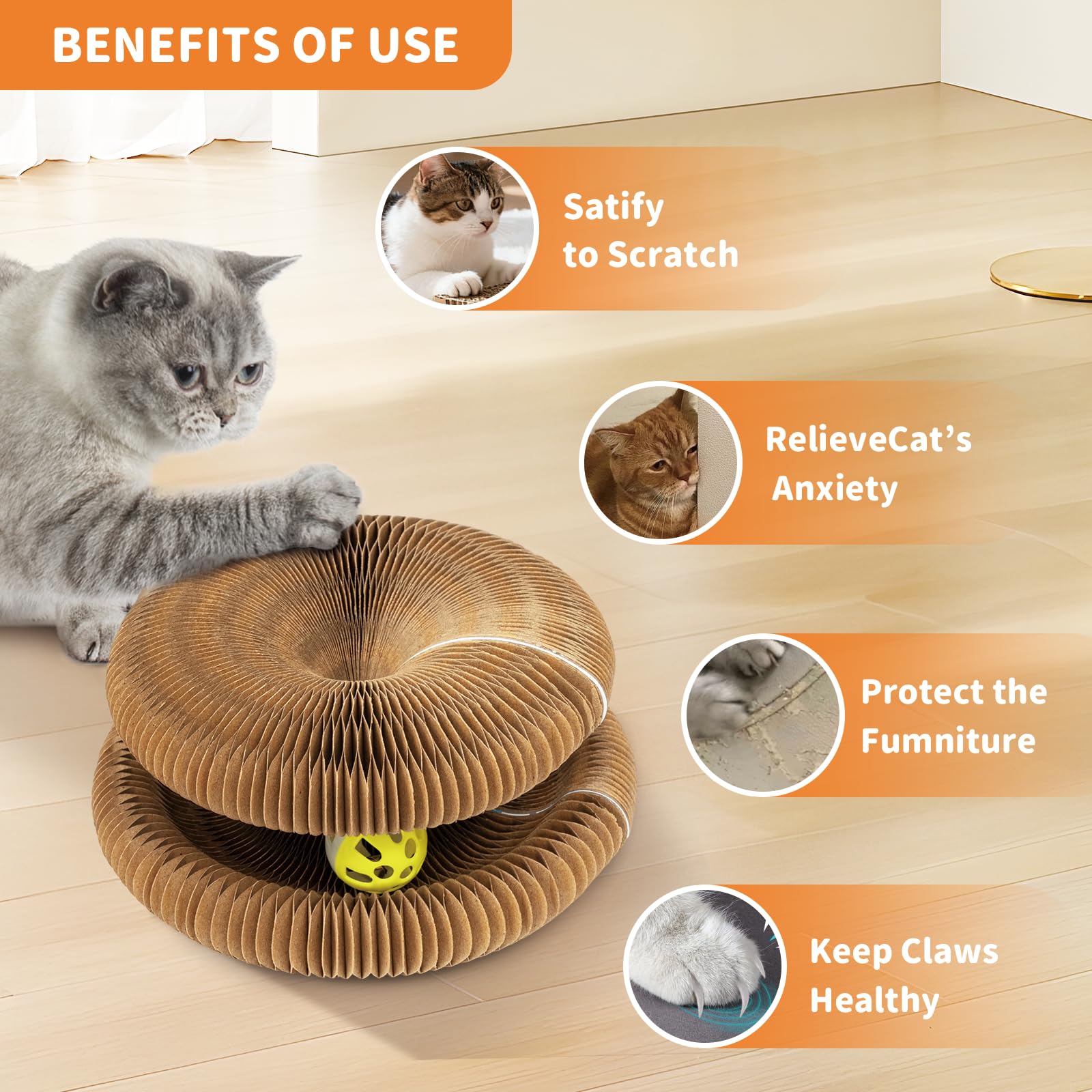 MAXTOOA túnel para varios gatos fomenta juego compartido