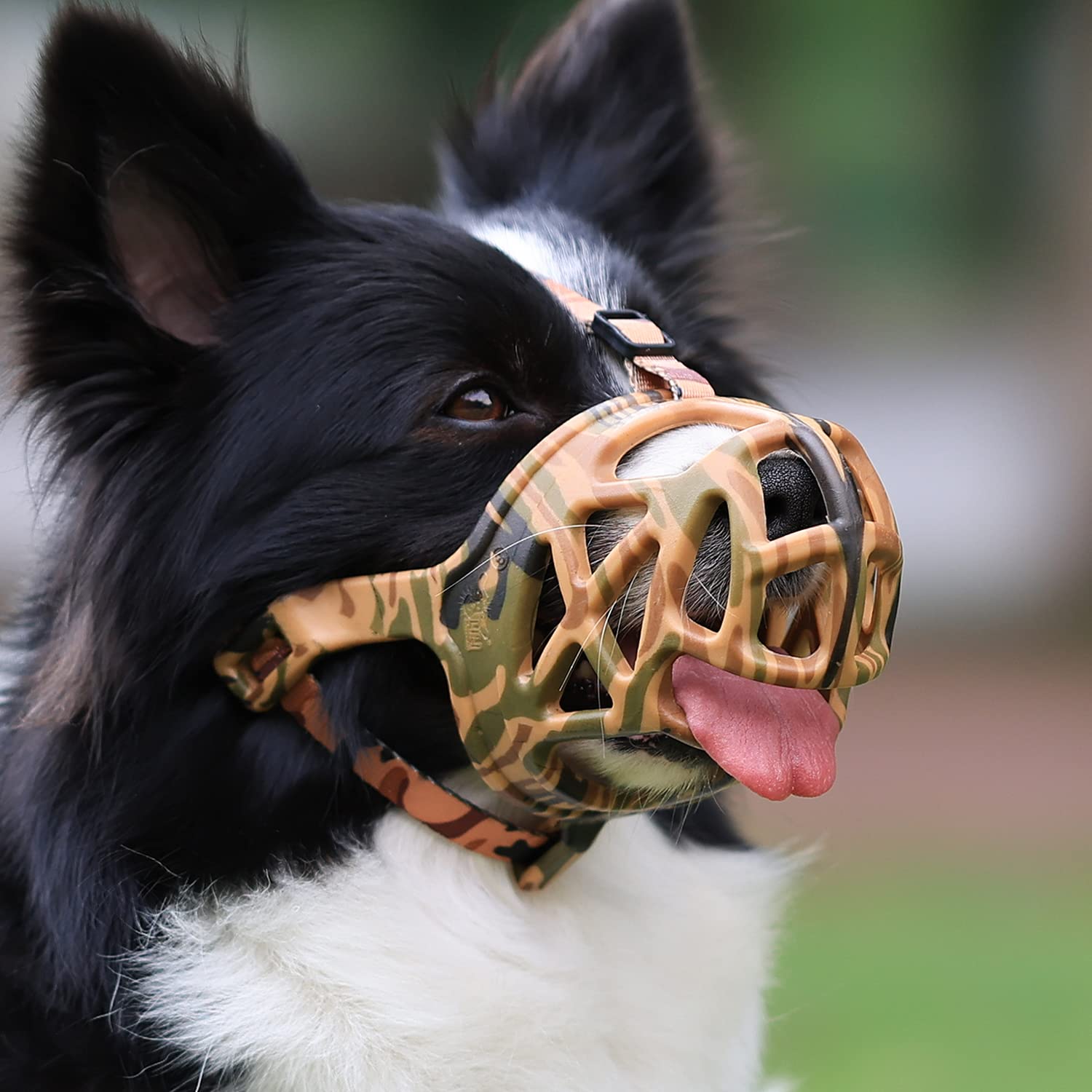 Bozal de cesta impresa Mayerzon para perro, cómodo y seguro en paseos.