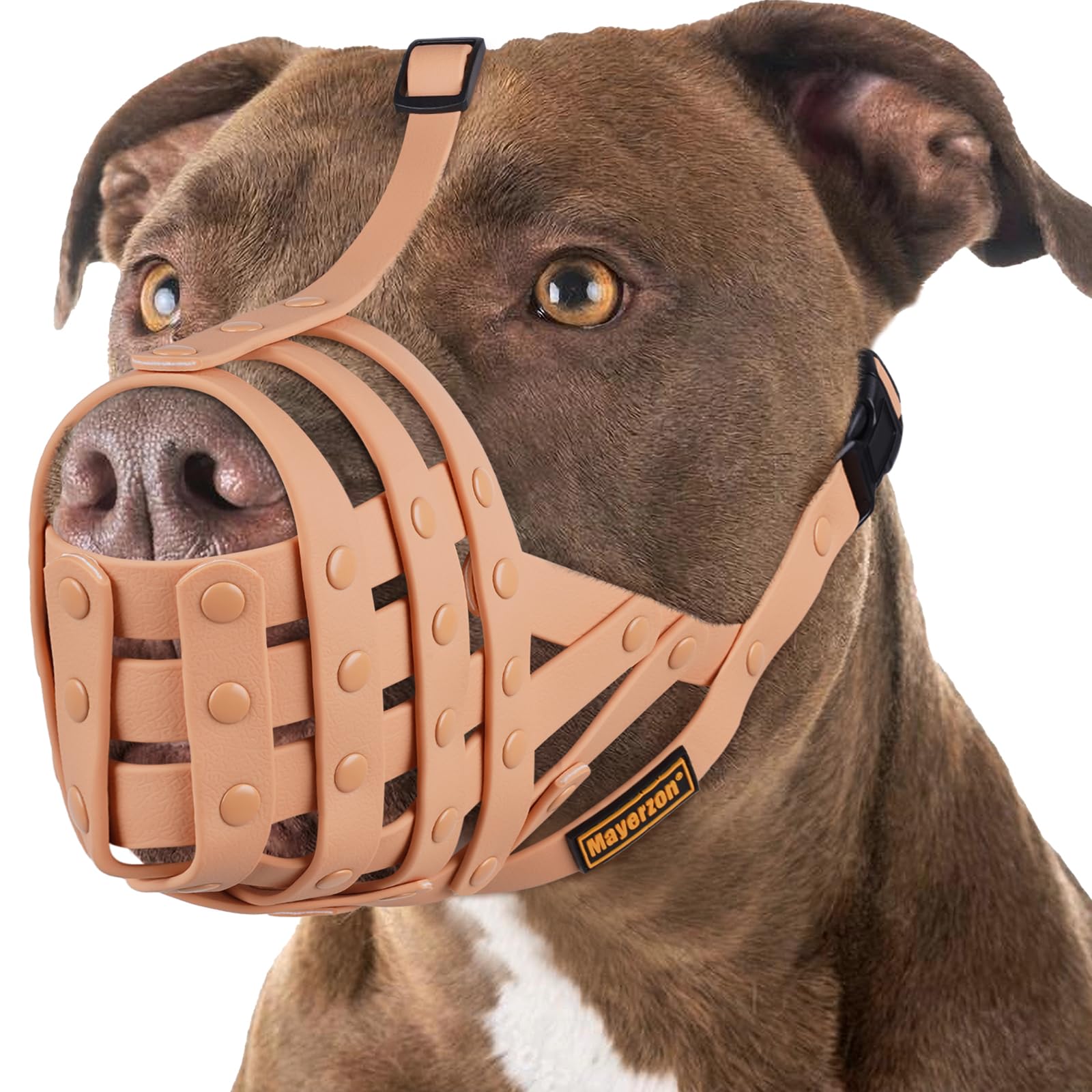 Bozal cesta Mayerzon para pitbull grande: permite respirar y beber durante el paseo