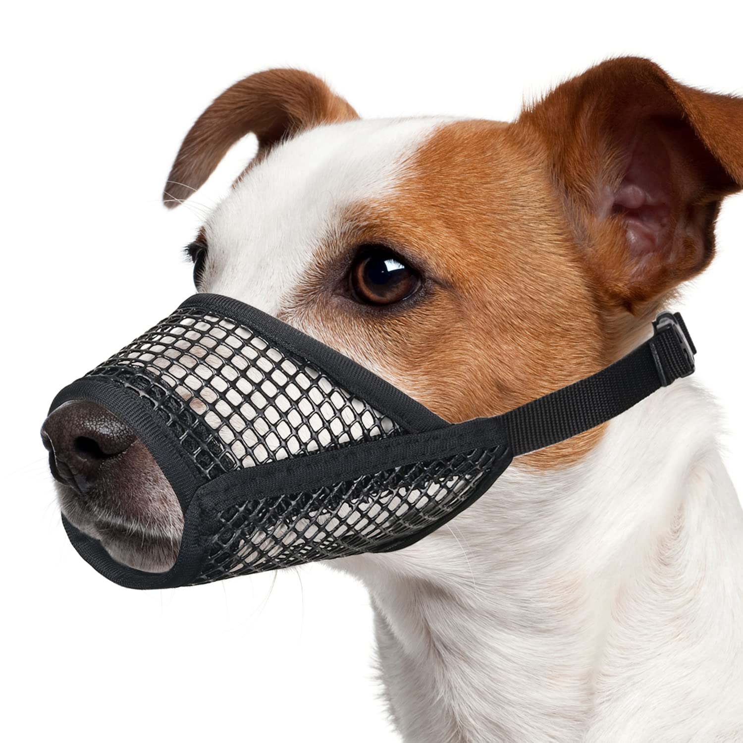 Bozal Mayerzon de malla suave para perros pequeños, cómodo para paseos.