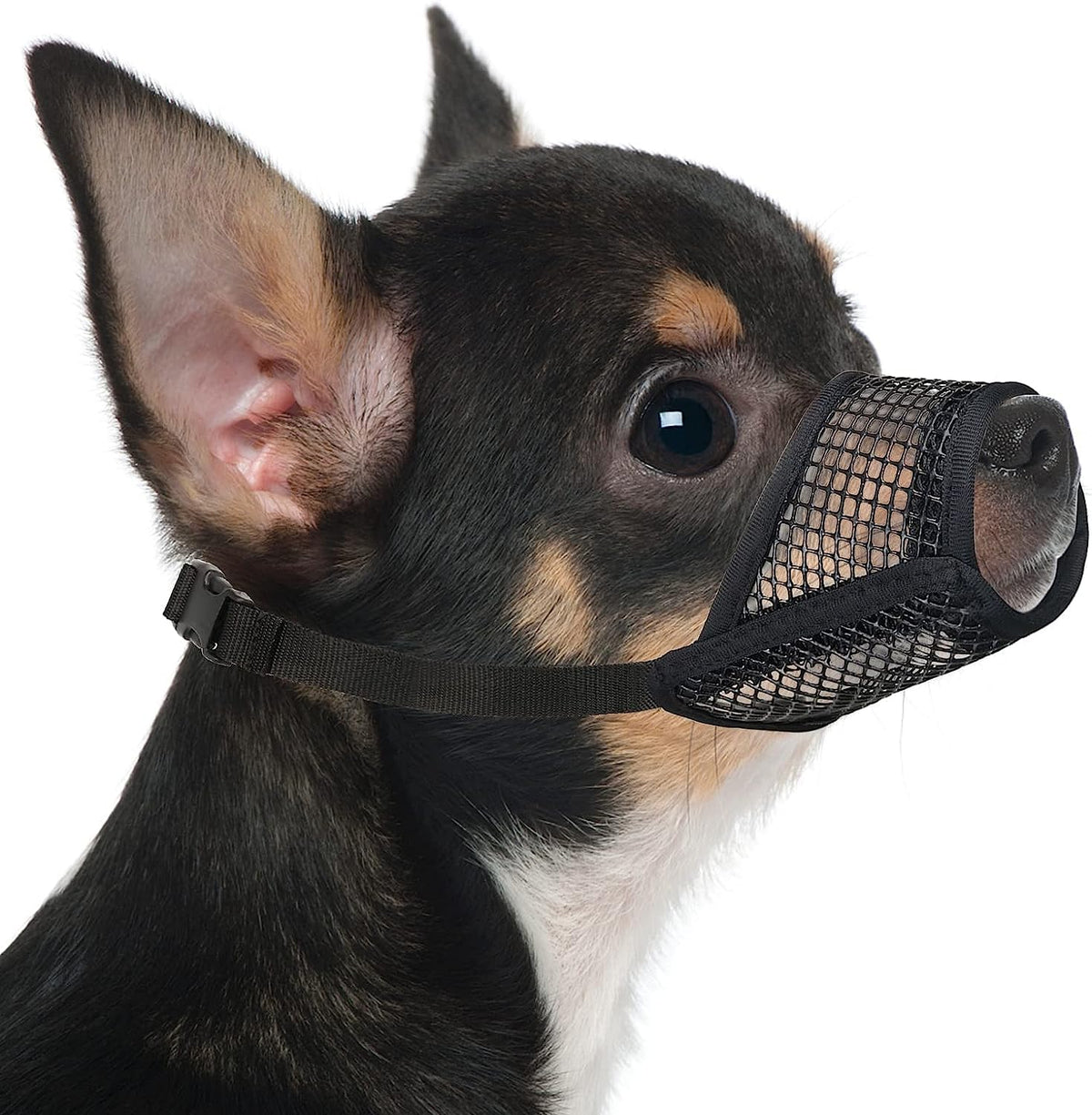 Mayerzon bozal de malla suave, primer plano, comodidad para la piel del perro.