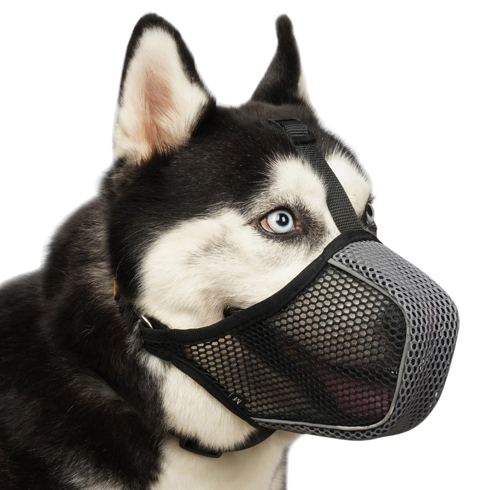 Bozal Mayerzon de malla transpirable para perros, permite respirar y moverse con comodidad.
