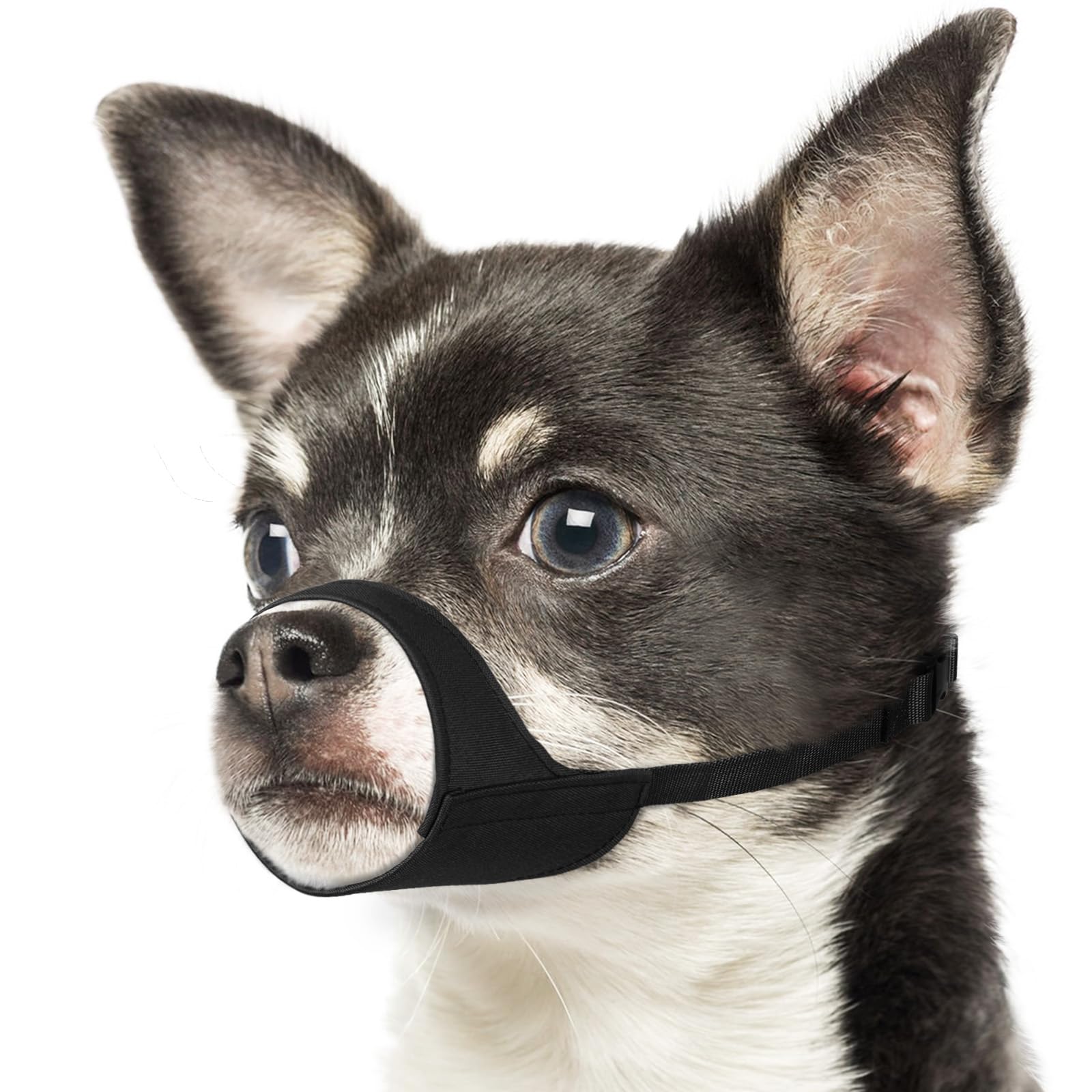 Mayerzon bozal para perro, vista frontal, ajuste cómodo para hocicos cortos.