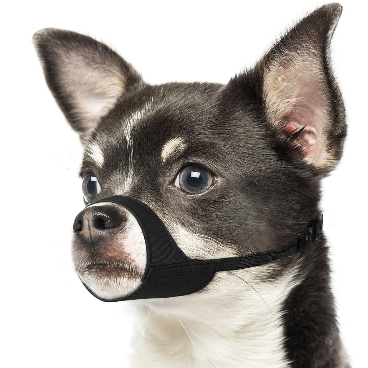 Mayerzon bozal para perro, vista frontal, ajuste cómodo para hocicos cortos.