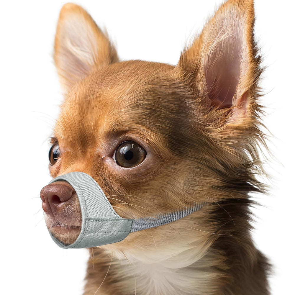 Mayerzon bozal para perro tamaño pequeño con ajuste cómodo para paseos.