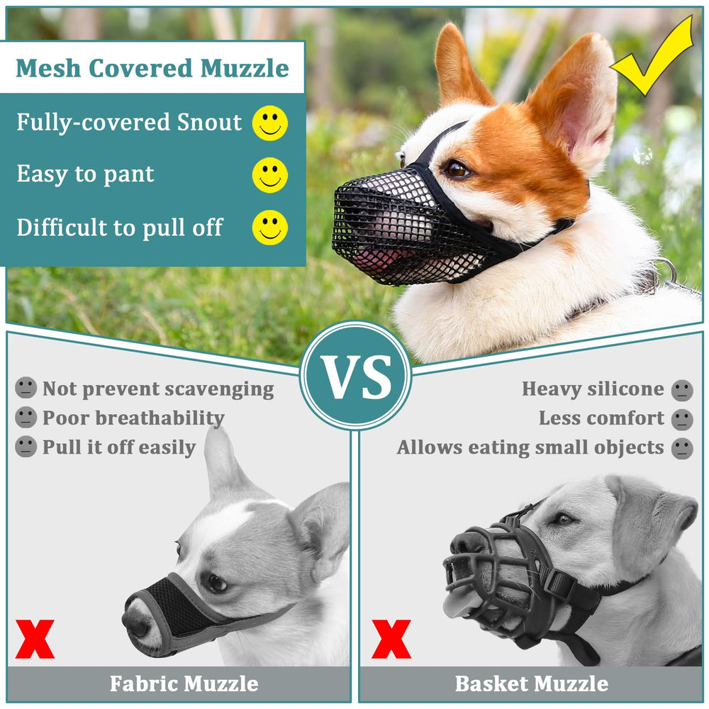 Guía de tallas Mayerzon para bozal perro talla XS.