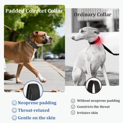 Mayerzon collar martingale con anilla en D para la correa y seguridad adicional.