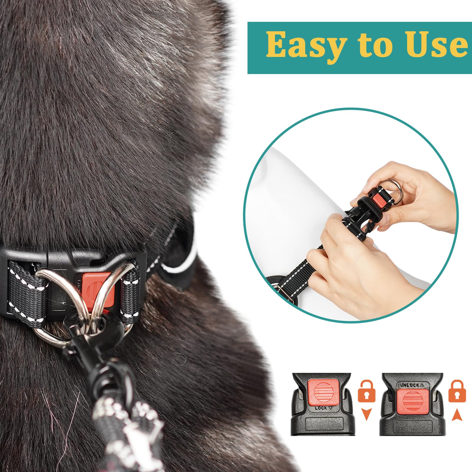 Mayerzon collar martingale con anilla en D para correa segura.