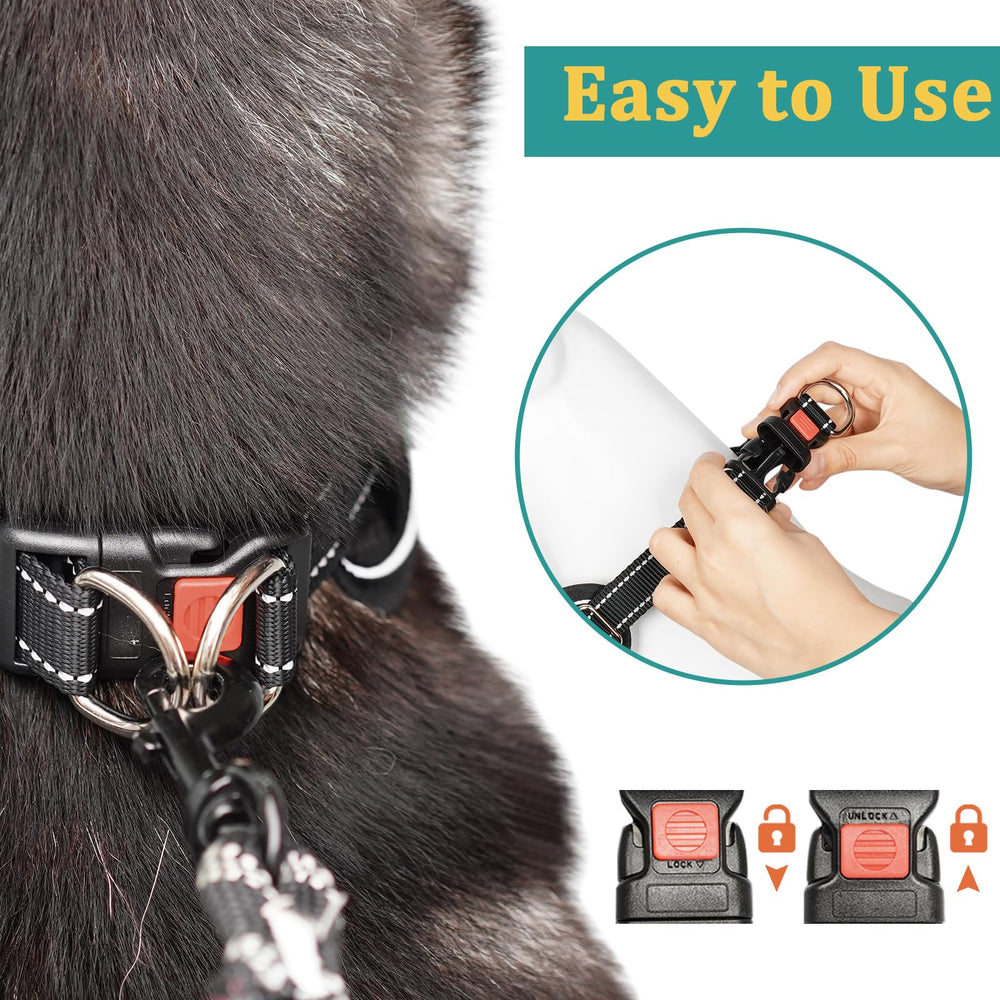 Mayerzon collar martingale con anilla en D para correa segura.