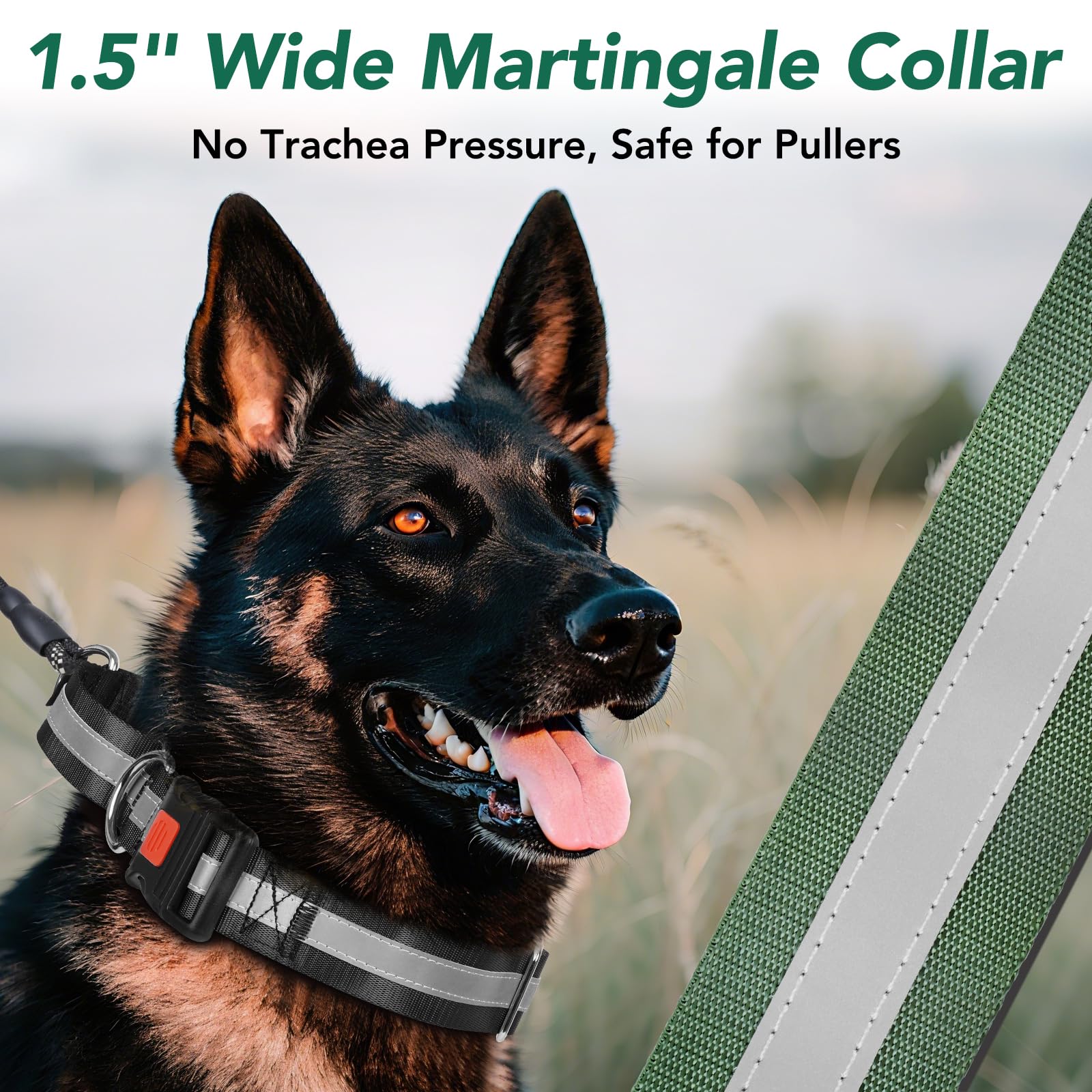 Collar Mayerzon resistente de nylon para perros grandes y activos.