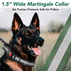 Collar Mayerzon resistente de nylon para perros grandes y activos.