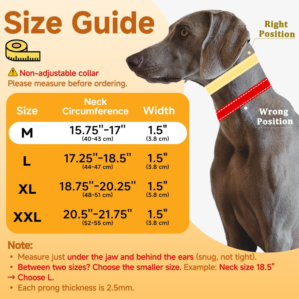 Collar Mayerzon martingale reflectivo, mayor visibilidad nocturna