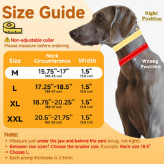 Collar Mayerzon martingale reflectivo, mayor visibilidad nocturna