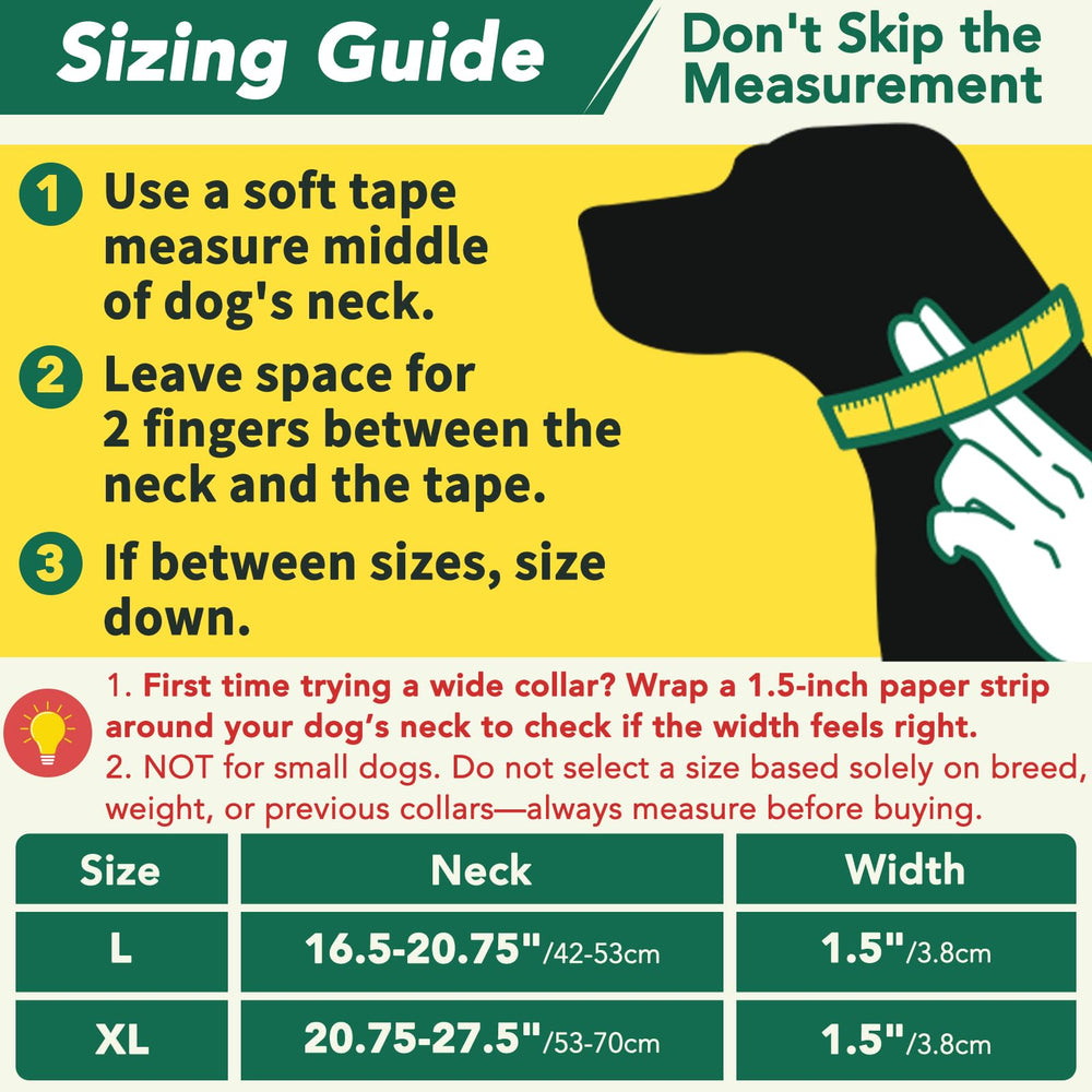 Mayerzon collar martingale sin tirones para paseos más tranquilos.