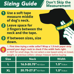 Mayerzon collar martingale sin tirones para paseos más tranquilos.
