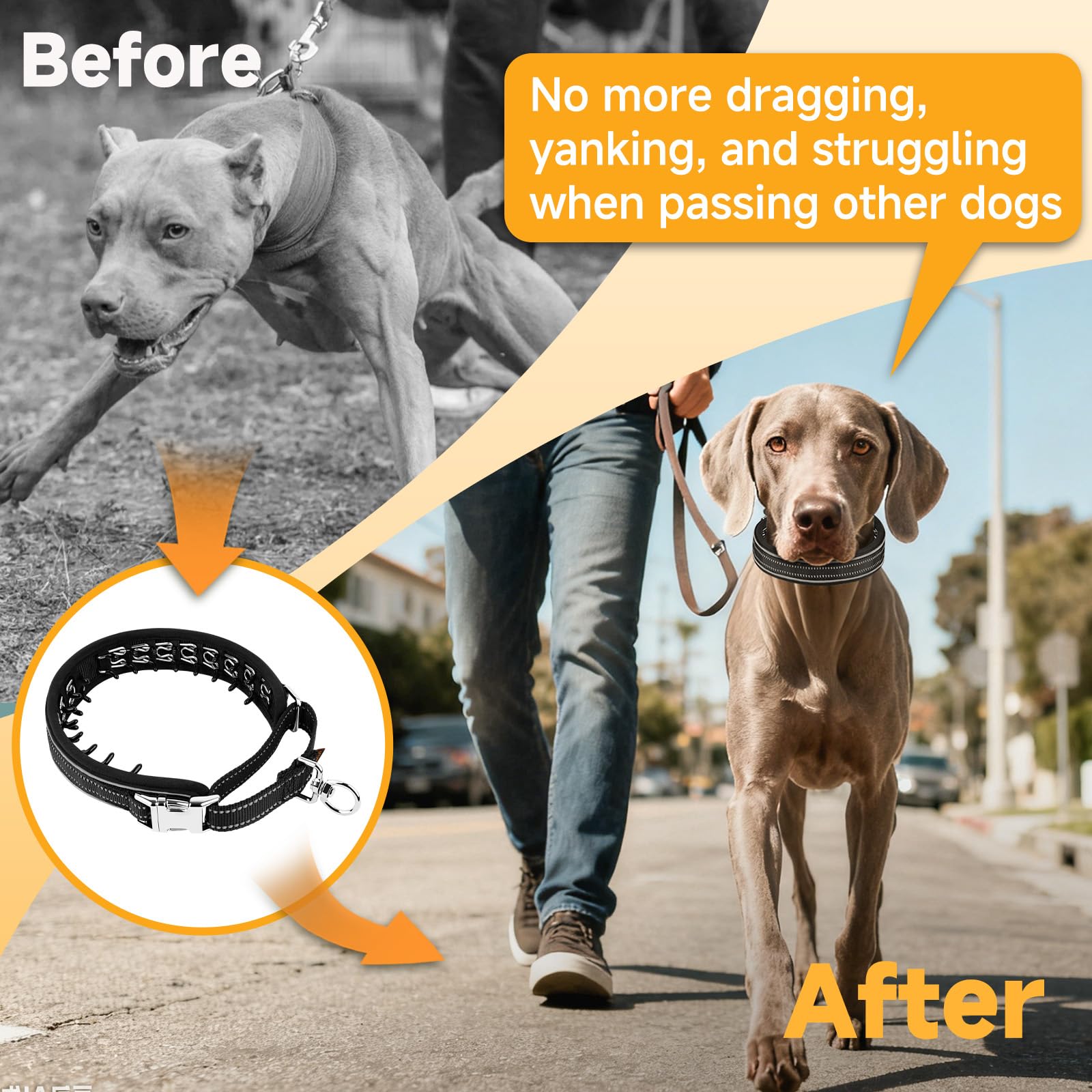 Collar Mayerzon martingale tela resistente, uso diario duradero