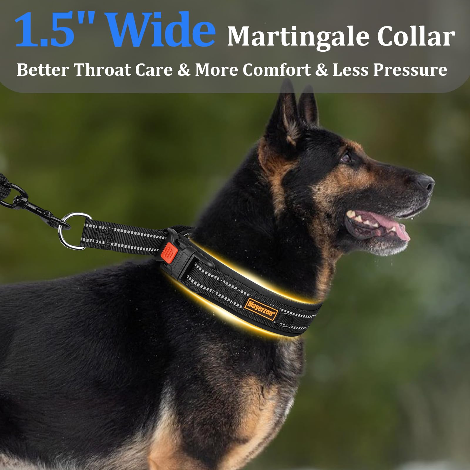 Mayerzon collar martingale para uso diario, control suave durante paseos.