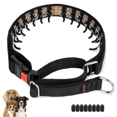 Collar Mayerzon martingale oculto para perro con control discreto en paseos