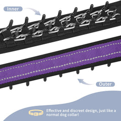 Mayerzon martingala: collar sin tirones reflectante para perros grandes durante la noche.