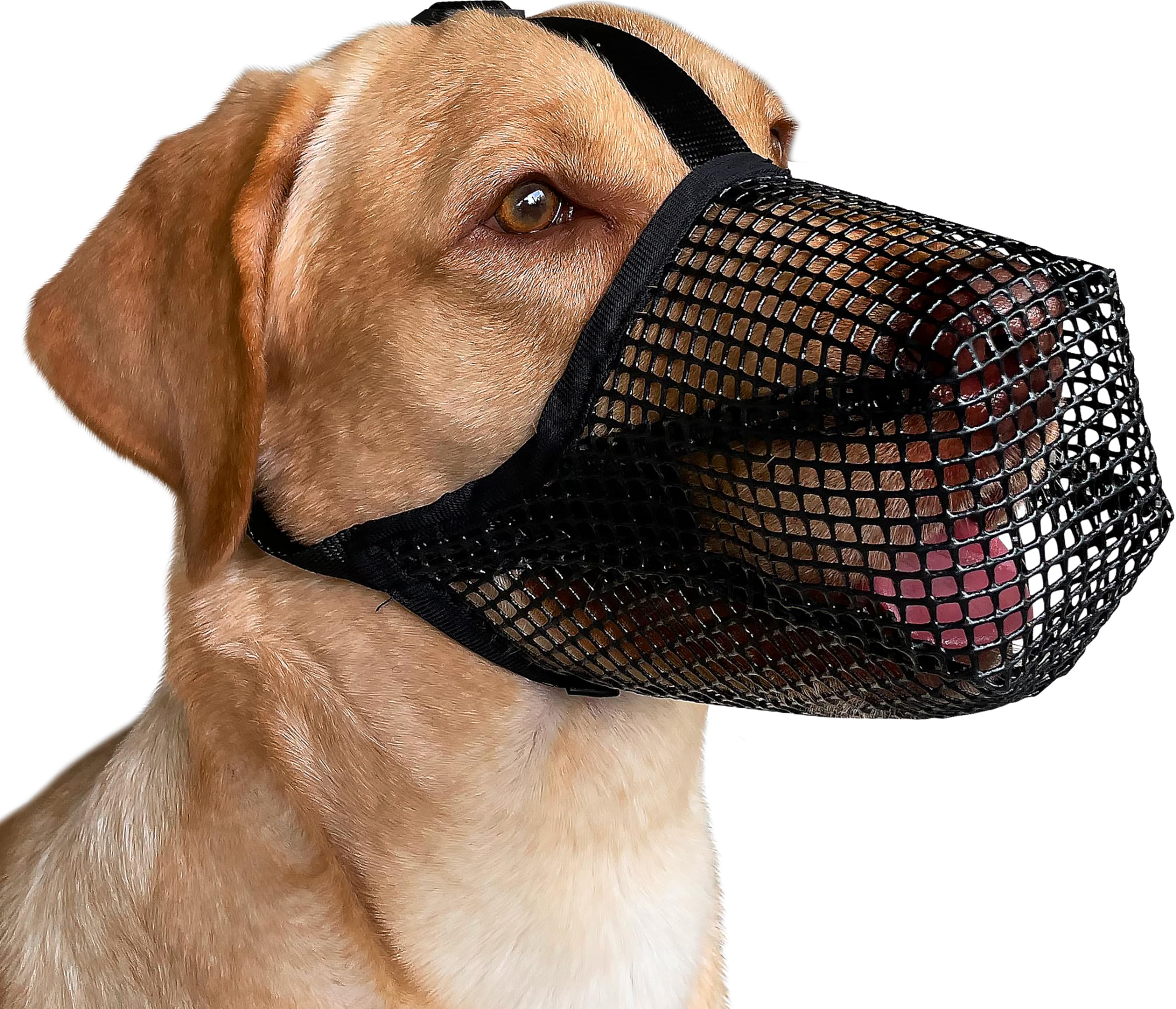 Mayerzon Muzzle con malla patentada, diseño seguro para paseos.
