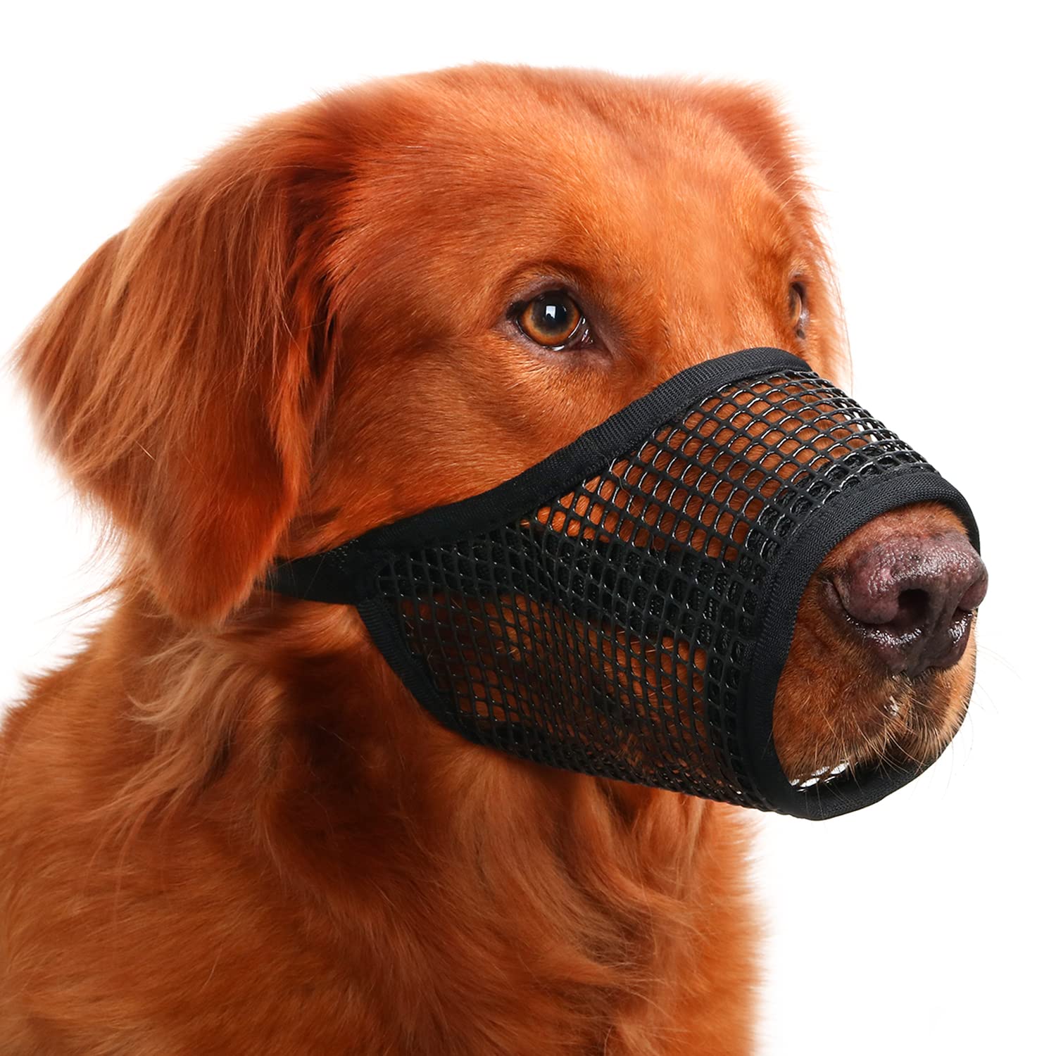 Mayerzon Dog Muzzle: malla respirable para paseos más cómodos.