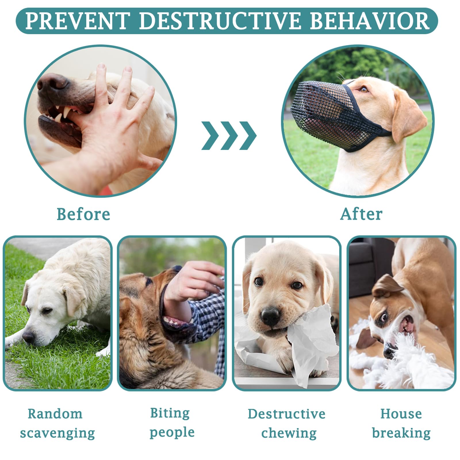 Mayerzon Muzzle con buena ventilación para paseos controlados.