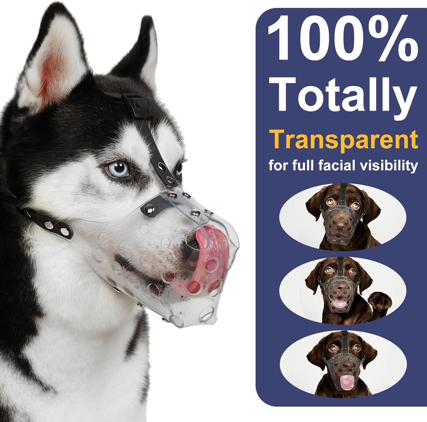 Mayerzon mordaza de cesta mediana, ideal para grooming sin tirones.