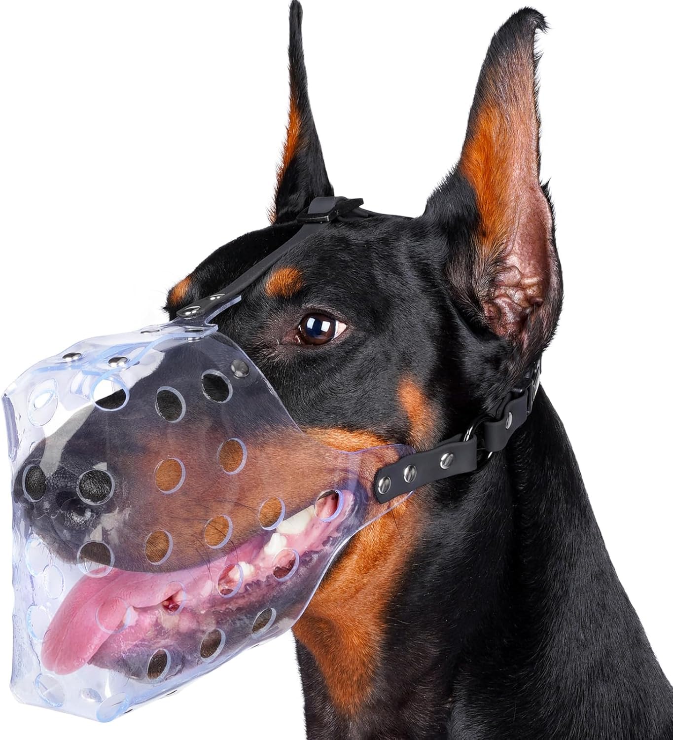 Mayerzon Mordaza para Perros, canasta transparente para razas pequeñas, facilita paseos seguros.