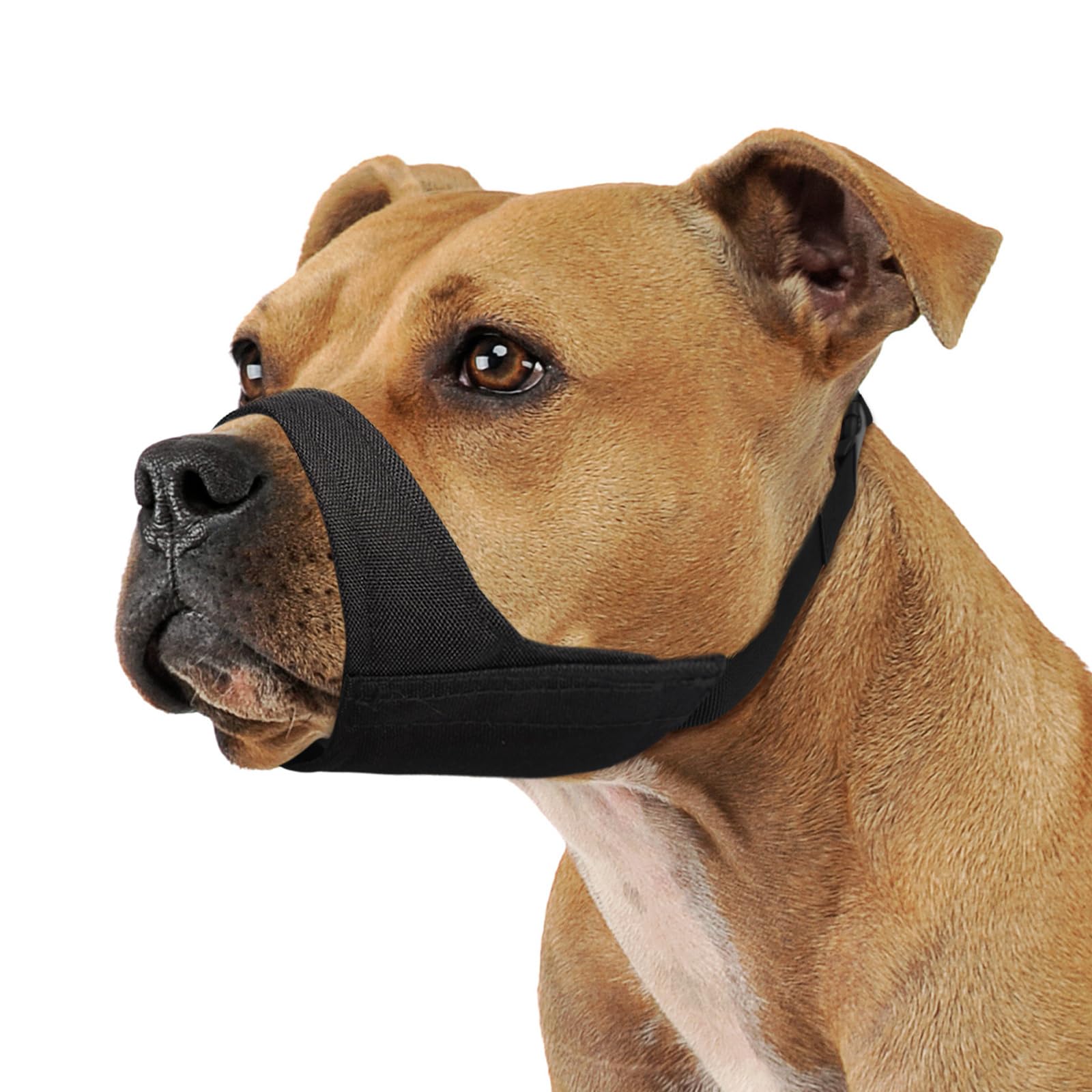 Mayerzon Mordaza para perros grandes ofrece ajuste ideal para visitas al veterinario.