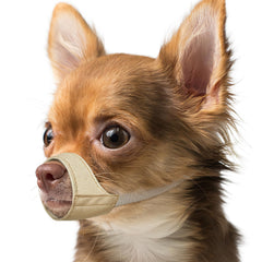Bozal Mayerzon para hocico corto en perros pequeños, ideal para paseos.