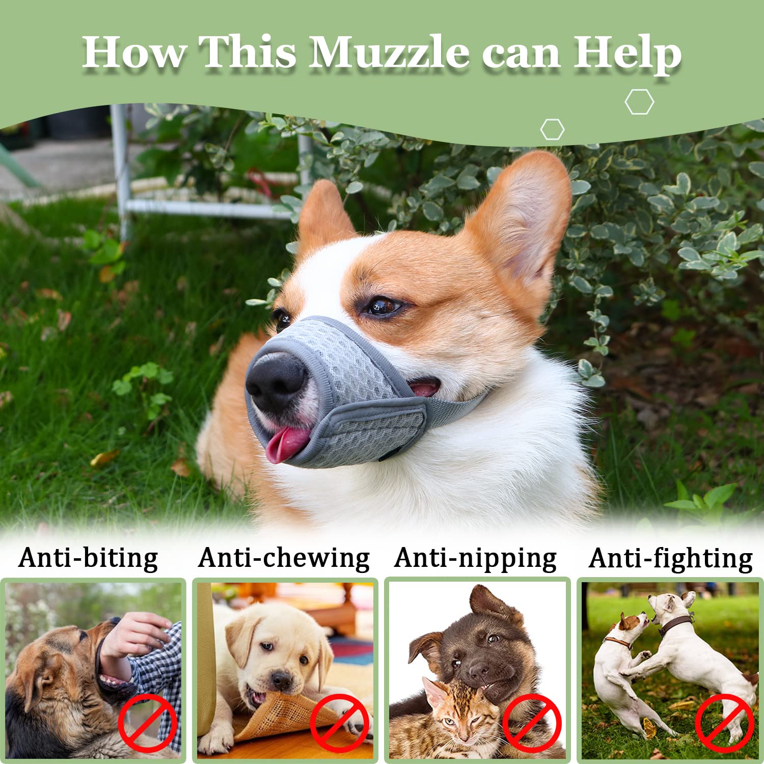 Mayerzon Muzzle disponible en tallas múltiples para perros pequeños, medianos y grandes