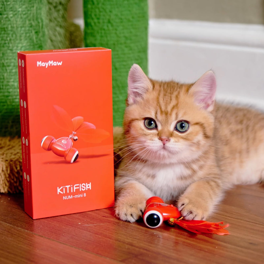 KiTiFISH de MayMaw: varios movimientos para mantener a tu gato activo.