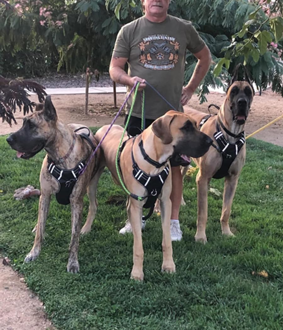MayPaw gancho resistente para entrenamiento al aire libre