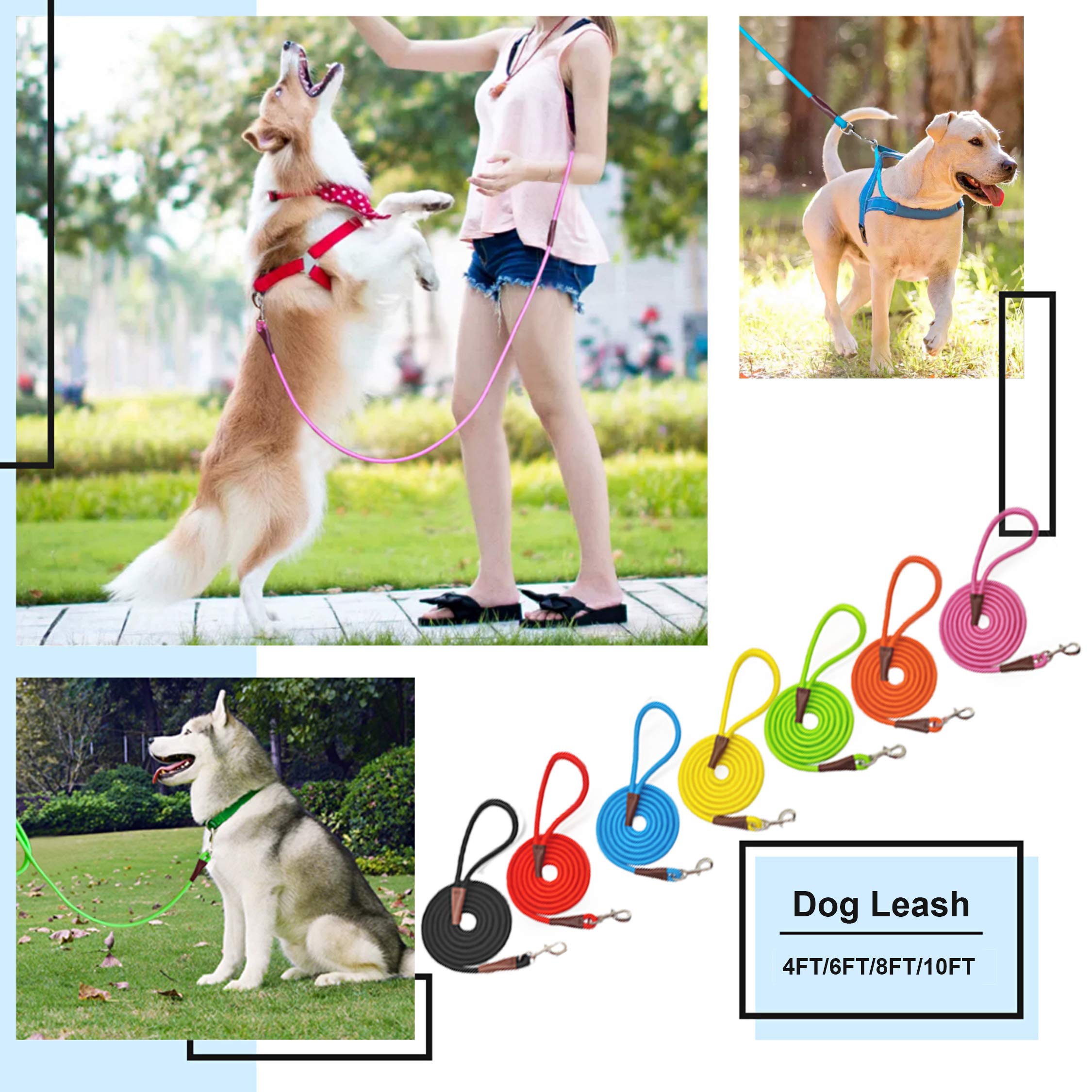 MayPaw mango cómodo para un control seguro durante caminatas y entrenamientos