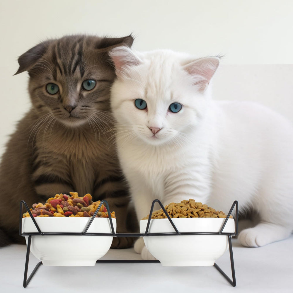 MCSAPIL apto para gatos de todas las edades