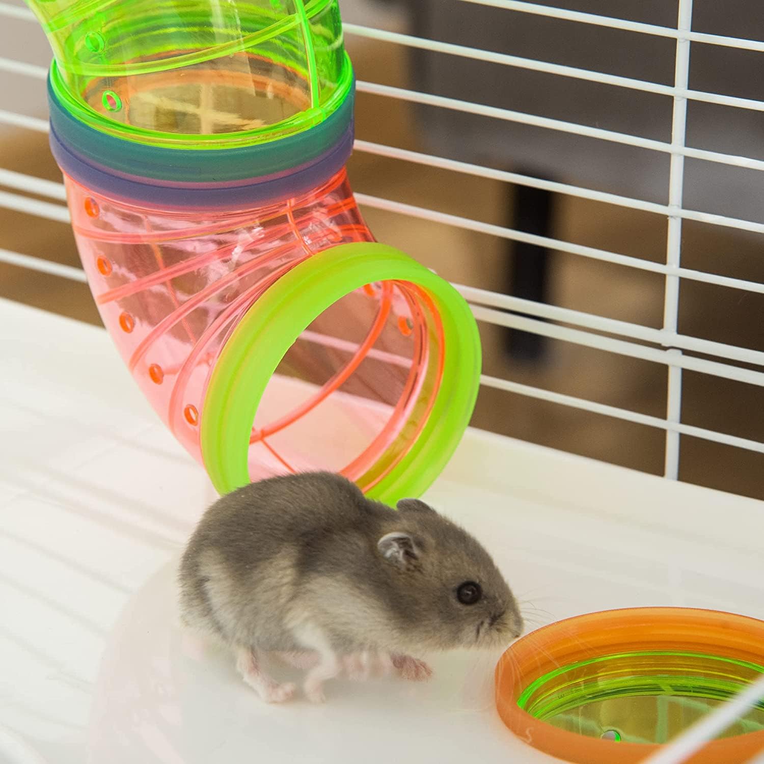 Mcage rueda-ejercicio-hamster-5-pulgadas: ejercicio diario para roedores activos