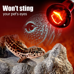 Bombilla para terrario, compatible con varios hábitats y reptiles.