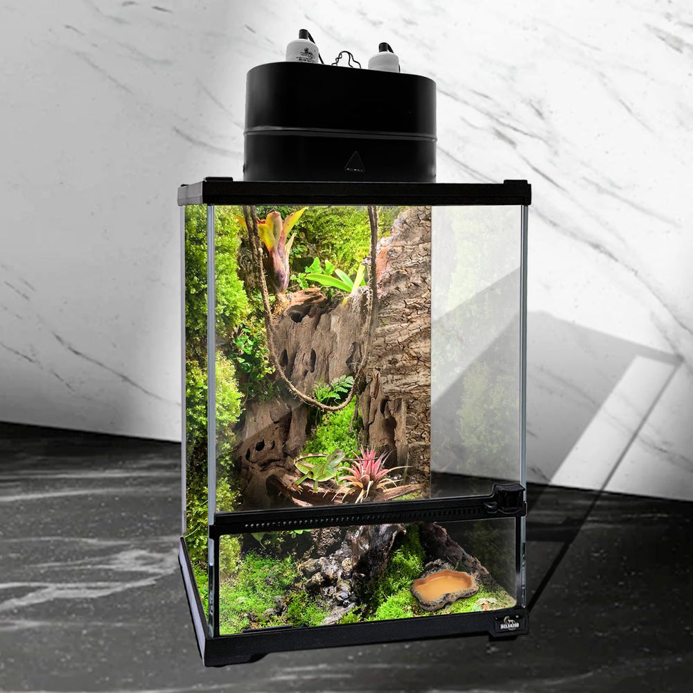 Compatible con reptiles y anfibios, iluminación versátil para uso diario.