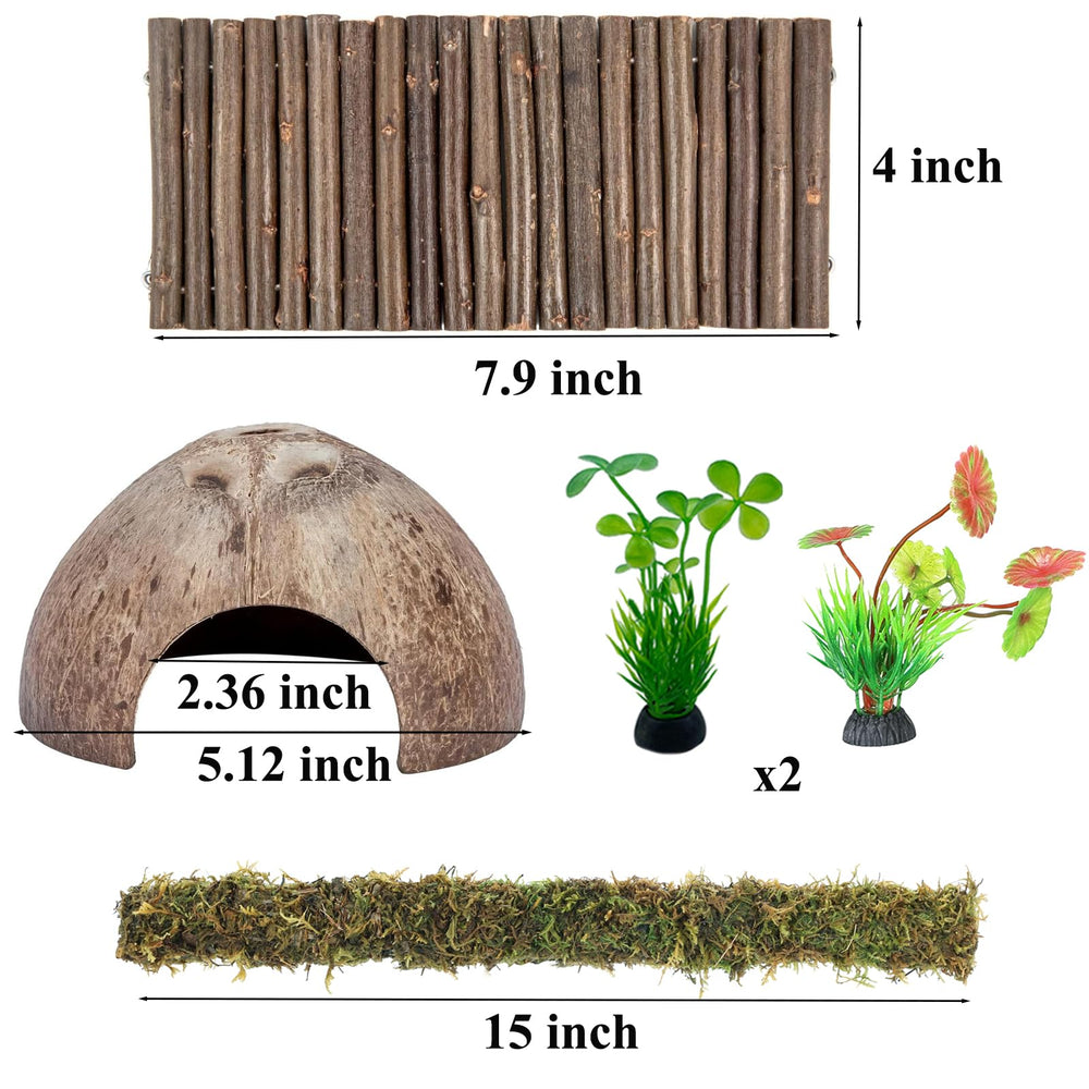 Detalle del kit Mechpia para cangrejo ermitaño, montaje fácil