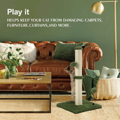 MECOOL diseño cactus verde que complementa la decoración
