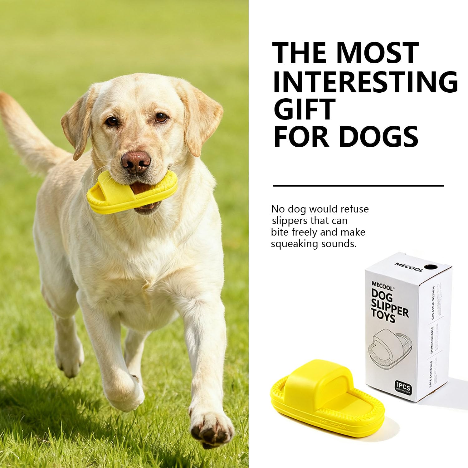MECOOL Diseño TPR Juguete Perro: durable y fácil de limpiar