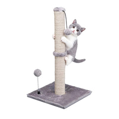 MECOOL poste rasca-gato premium Basics, 22 pulgadas, ideal para gatitos curiosos