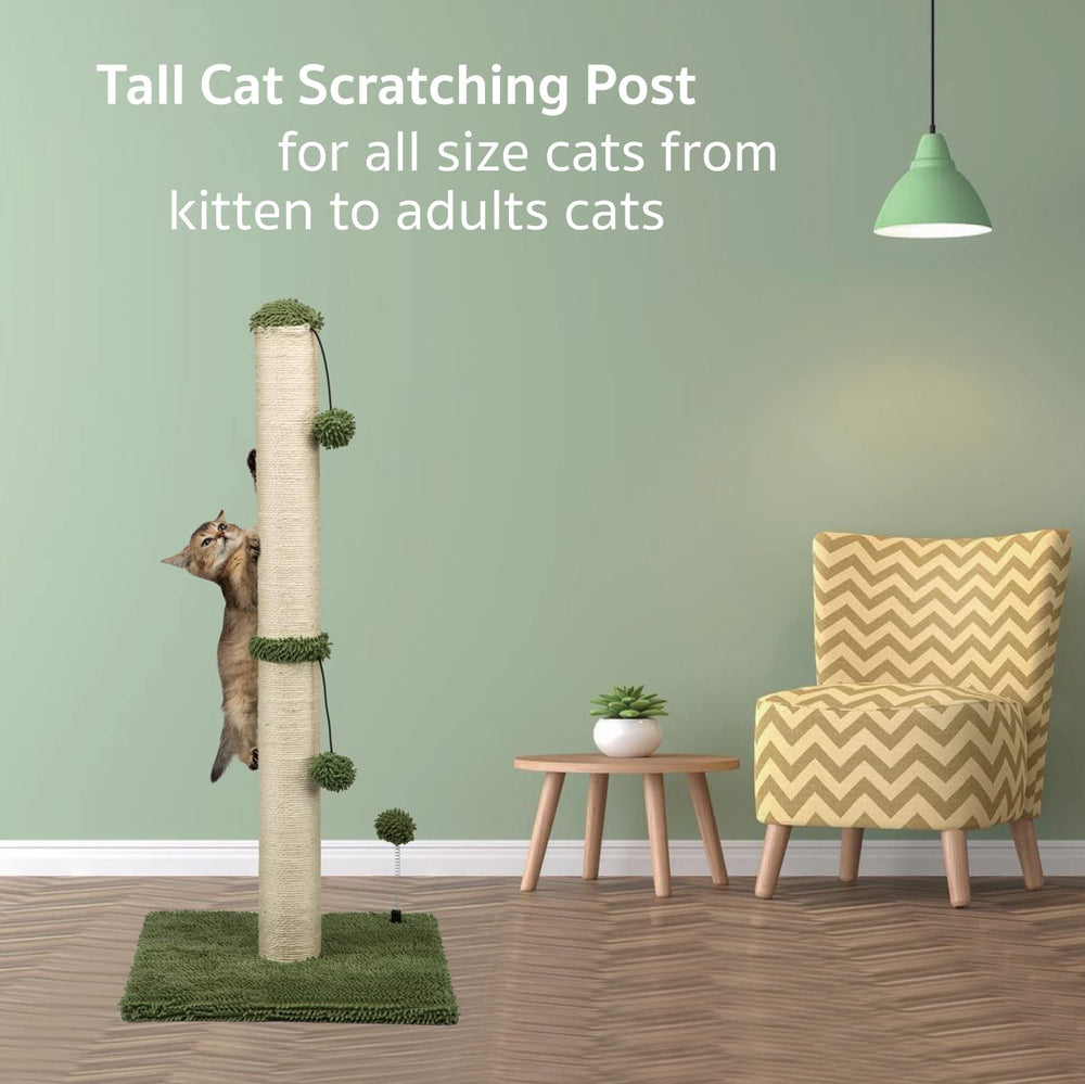 MECOOL poste de 34 pulgadas apto para gatos de todas las edades