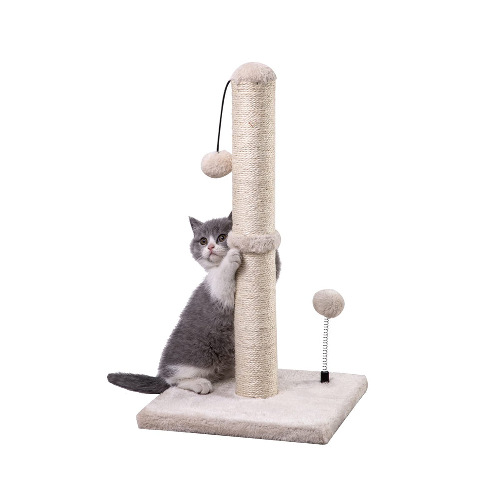 MECOOL poste rascador para gatos Basics, base estable para uso diario.