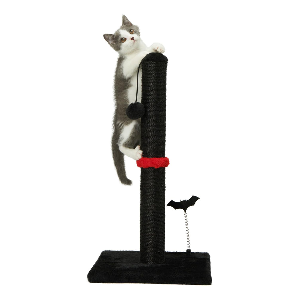 MECOOL poste vertical para gatos interior: ahorro de espacio y juego.