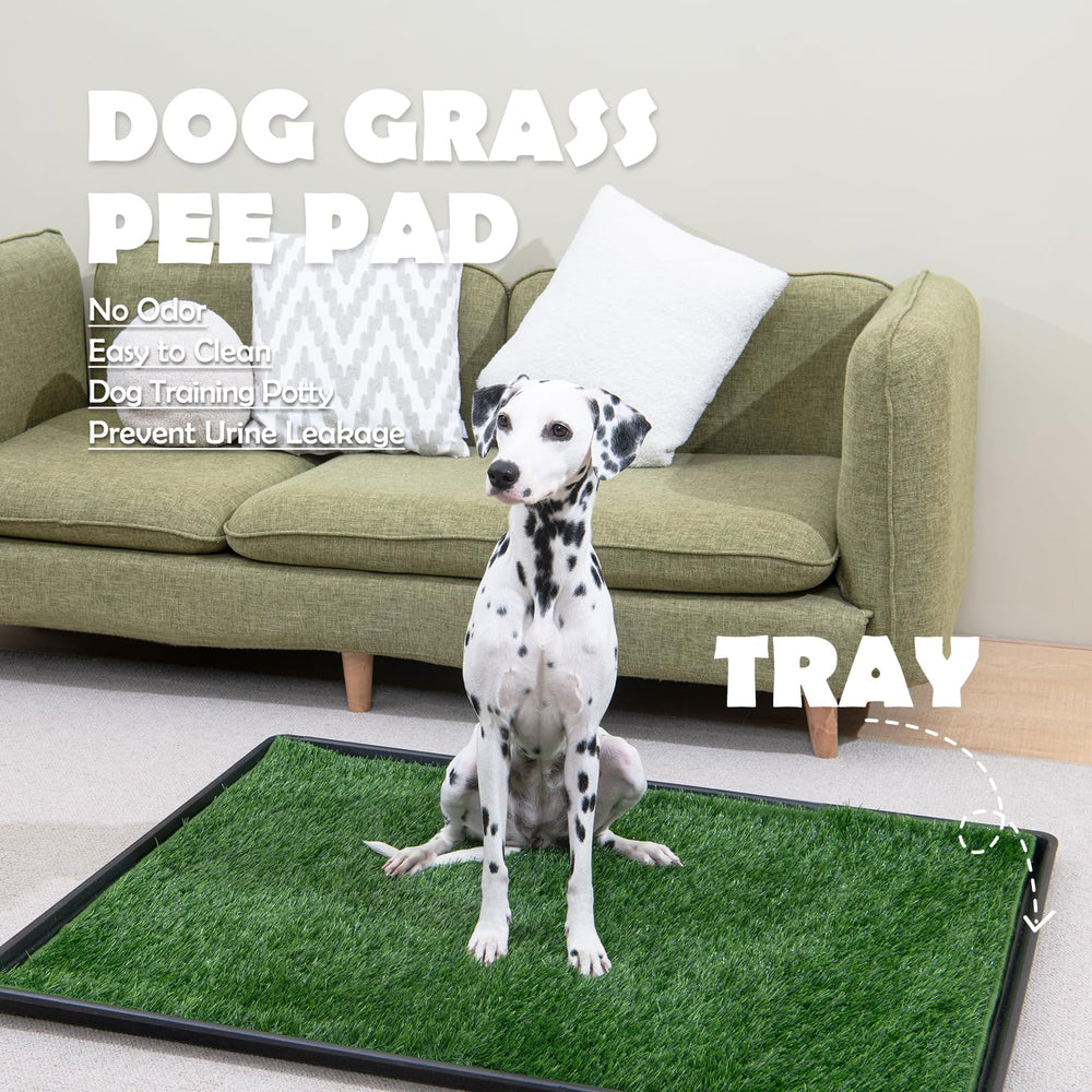 MEEXPAWS adiestramiento para hábitos de casa