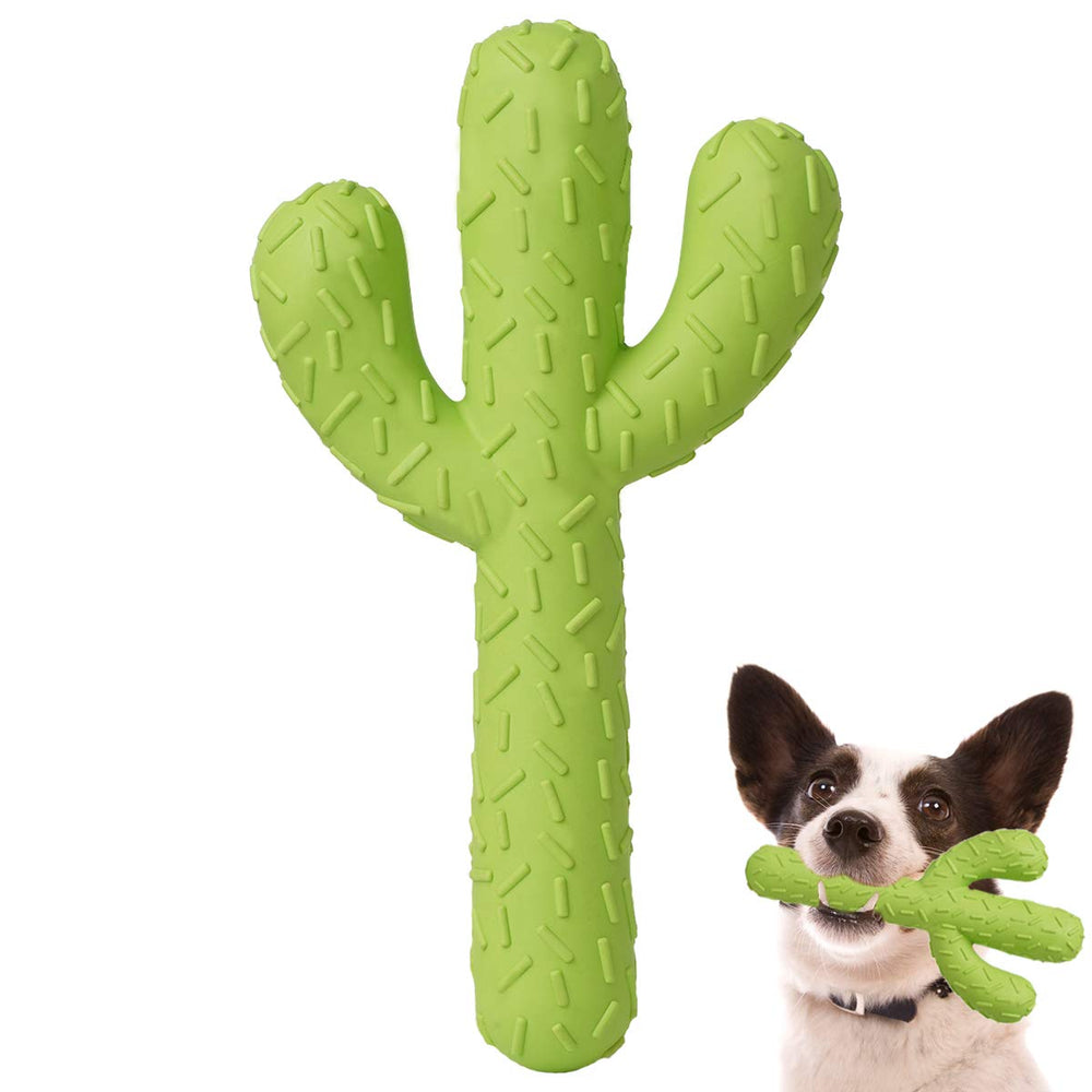 MejawJump cactus: mordedor dental para juego y limpieza diaria.
